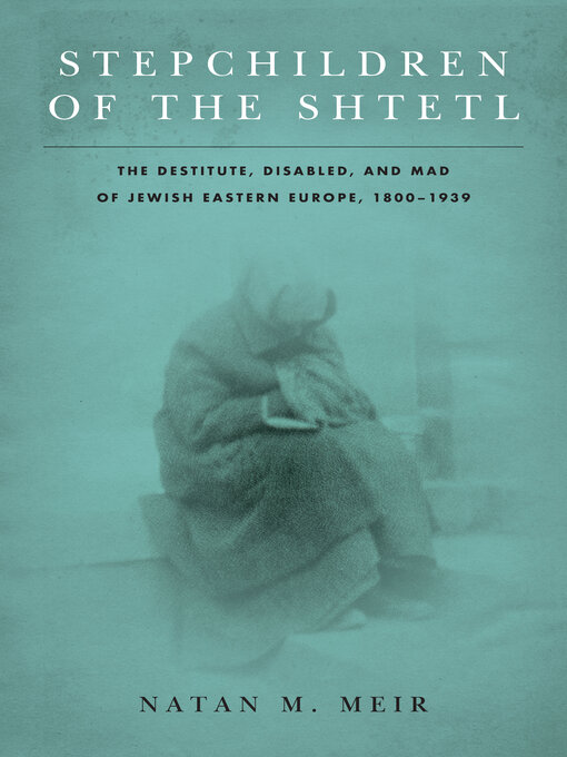 Title details for Stepchildren of the Shtetl by Natan M. Meir - Wait list